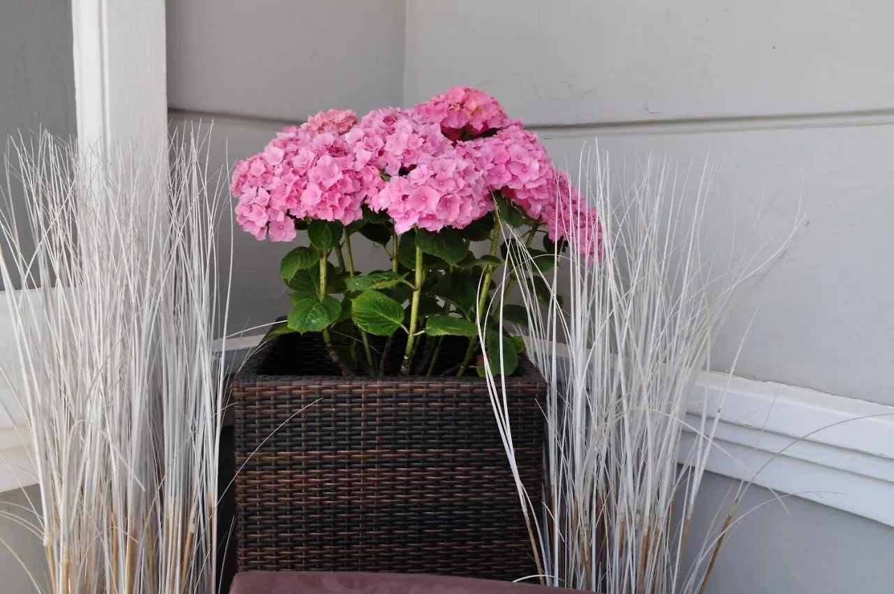 Esedra Hotel Rimini